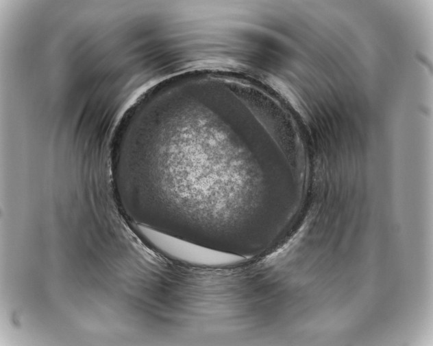 X0000096470923200802071853