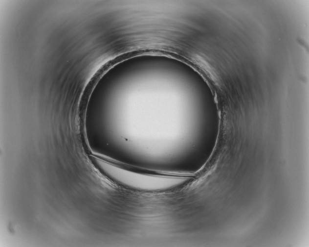 X0000096470924200802071853