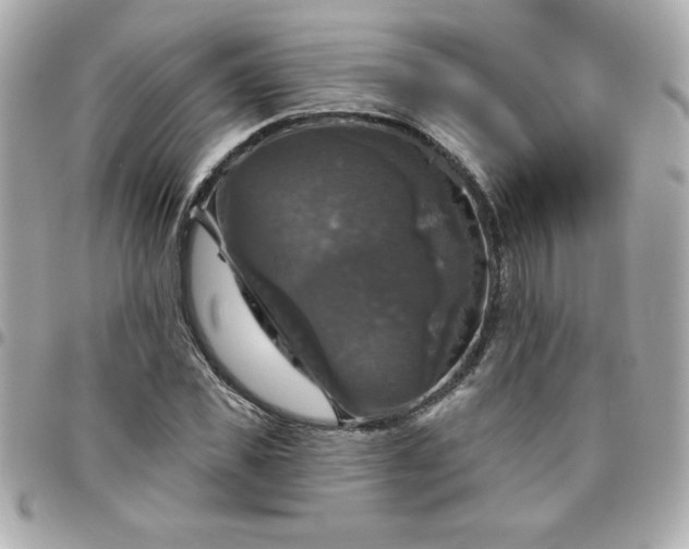 X0000096470925200802071853