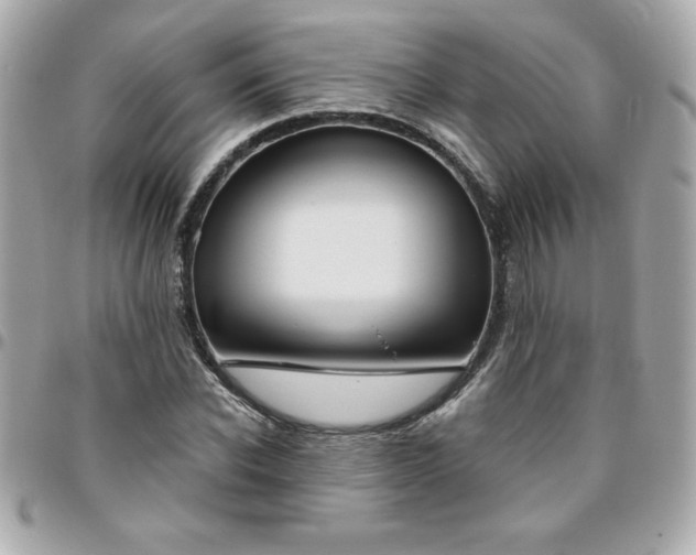 X0000096470926200802071853