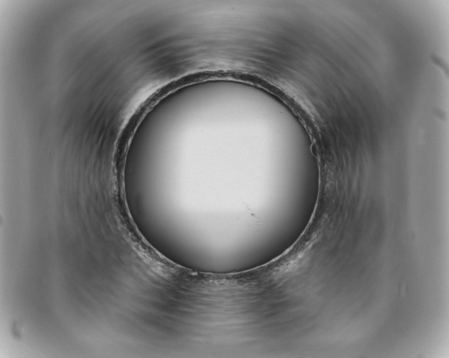 X0000096470927200802071853