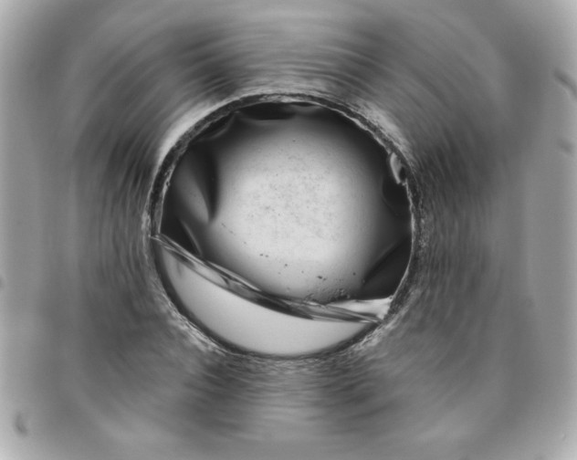 X0000096470928200802071853