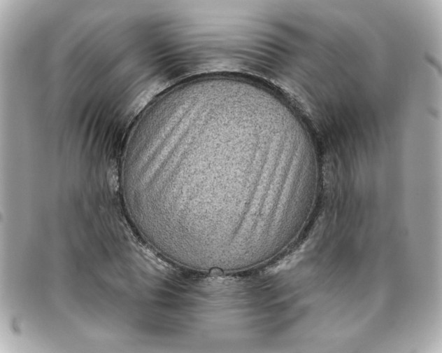 X0000096470929200802071853