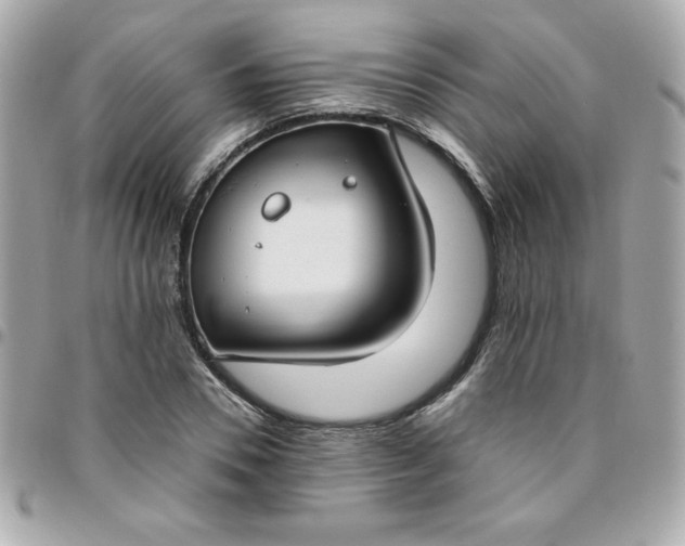 X0000096470930200802071853