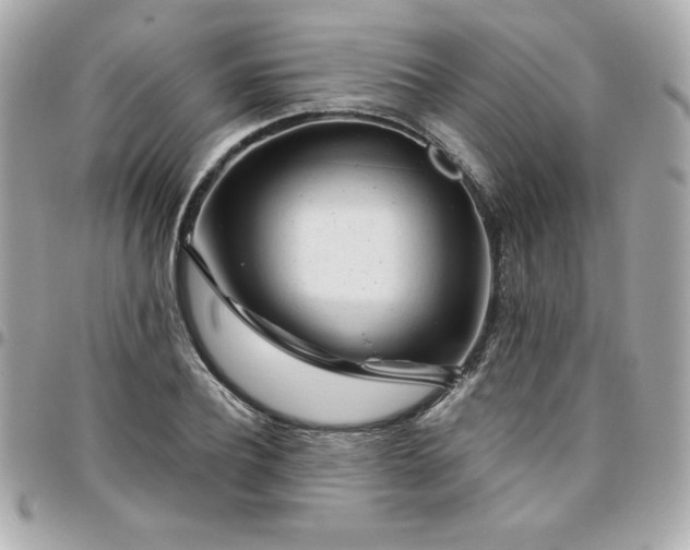 X0000096470932200802071853