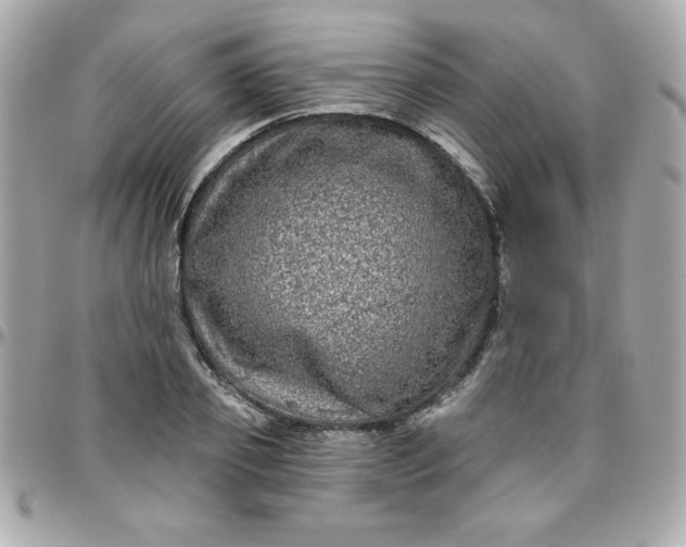 X0000096470933200802071853