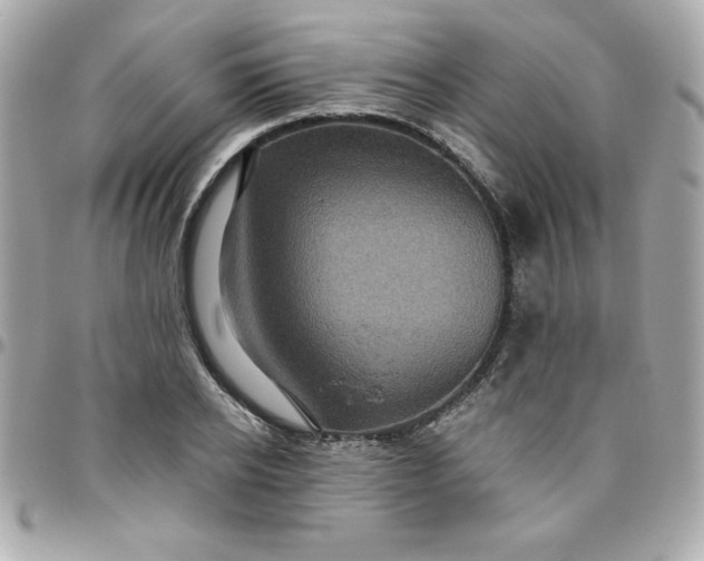 X0000096470934200802071853