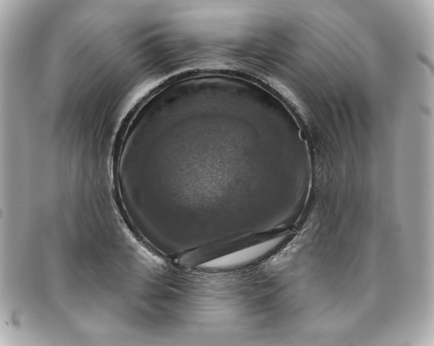 X0000096470935200802071853