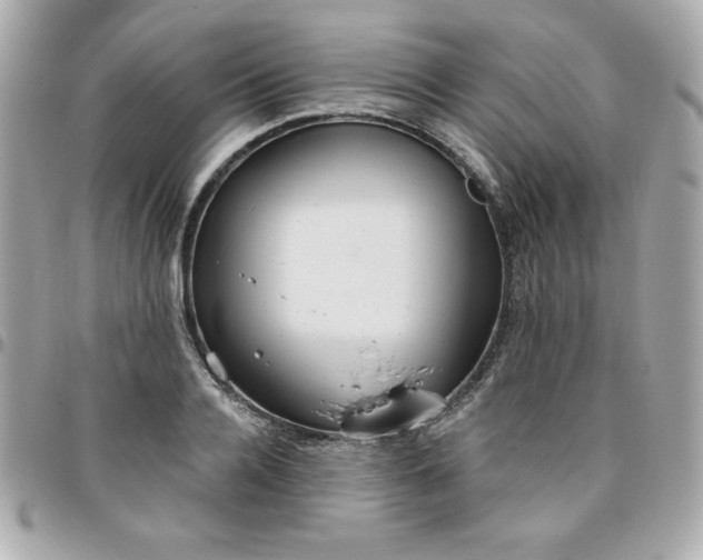 X0000096470936200802071853