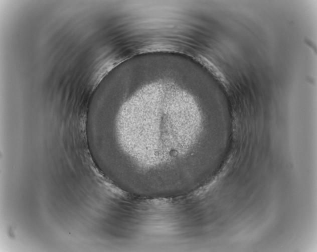 X0000096470937200802071853