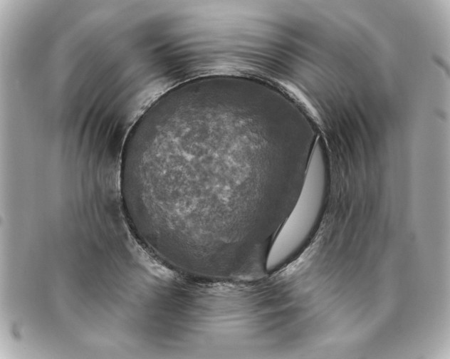 X0000096470938200802071853