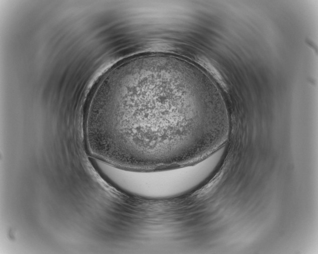 X0000096470939200802071853