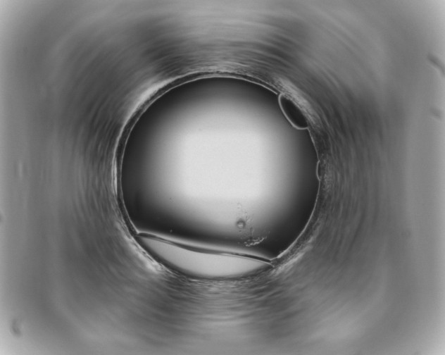 X0000096470940200802071853