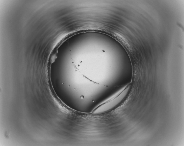 X0000096470942200802071853