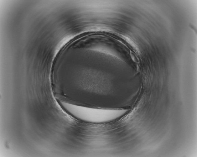 X0000096470943200802071853