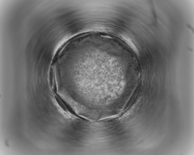 X0000096470944200802071853