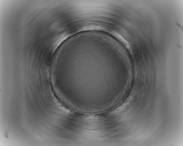 X0000096470945200802071853