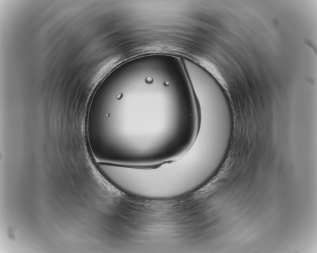 X0000096470946200802071853