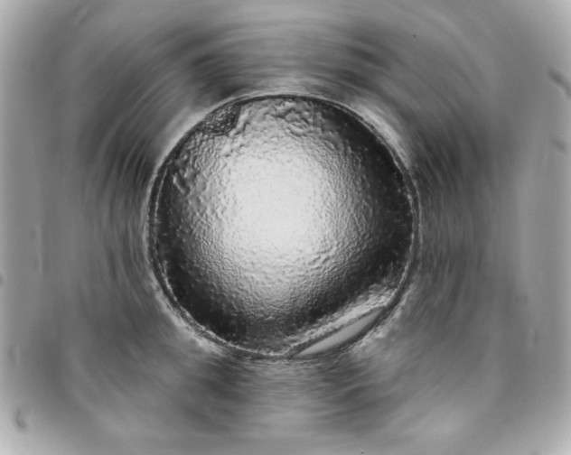 X0000096470949200802071853