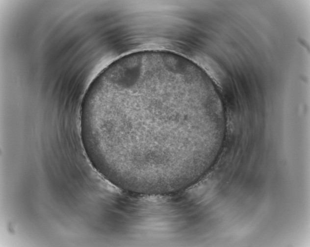 X0000096470950200802071853