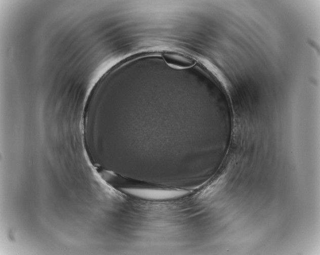 X0000096470951200802071853