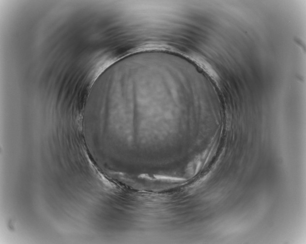 X0000096470953200802071853