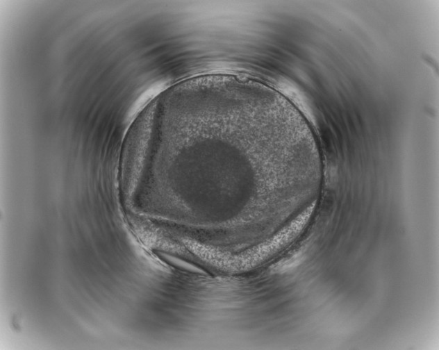 X0000096470954200802071854