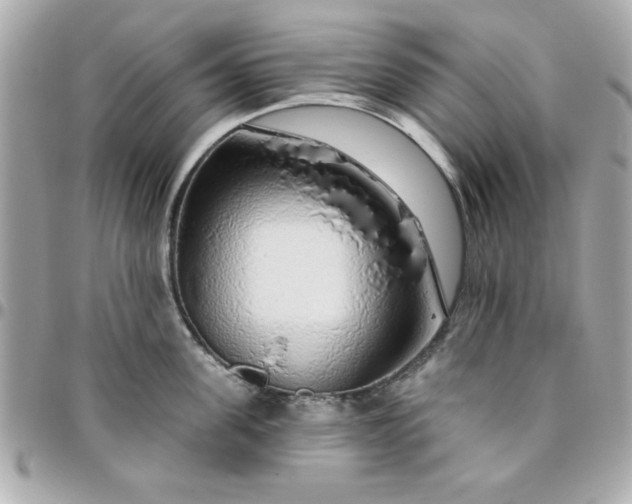 X0000096470955200802071854