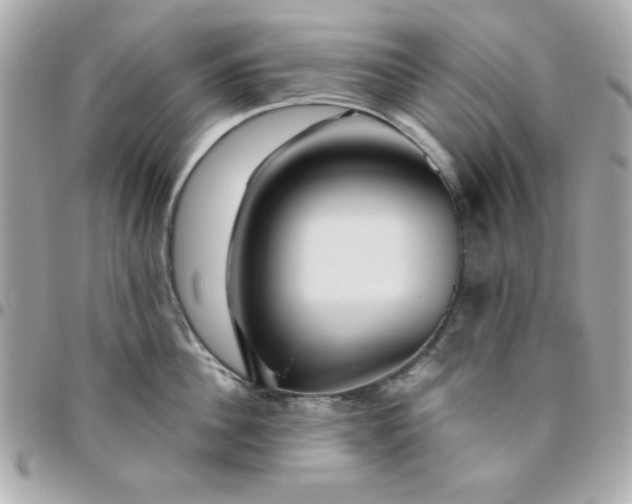 X0000096470956200802071854