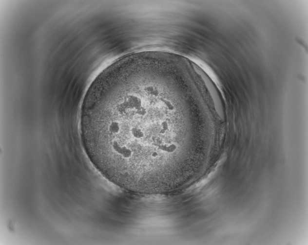 X0000096470957200802071854