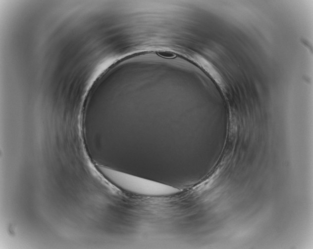 X0000096470958200802071854