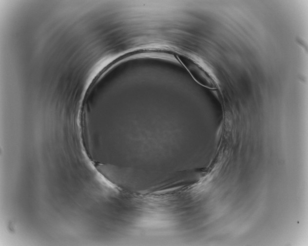 X0000096470959200802071854