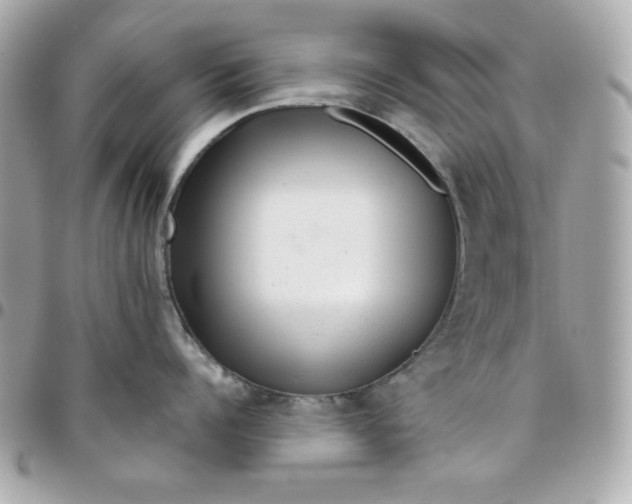 X0000096470960200802071854