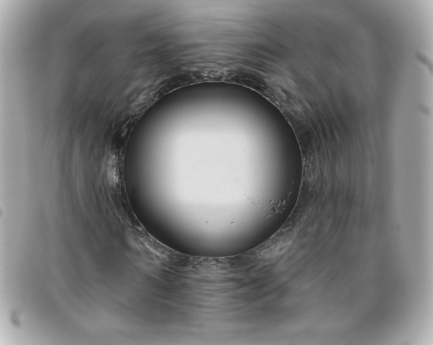 X0000096470962200802071853