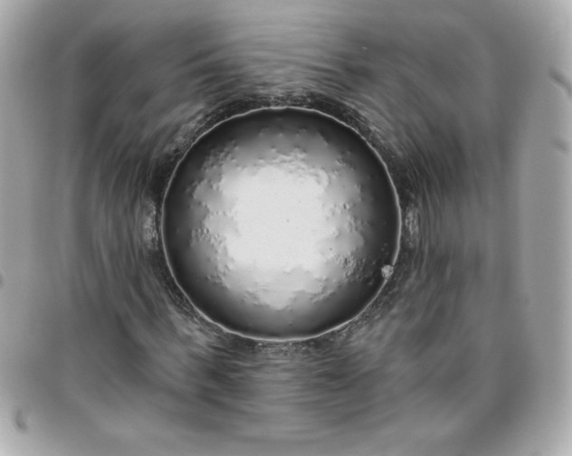 X0000096470963200802071853