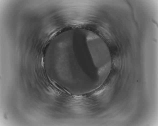 X0000096470964200802071853