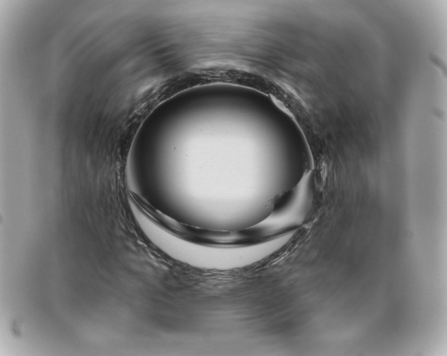 X0000096470965200802071853