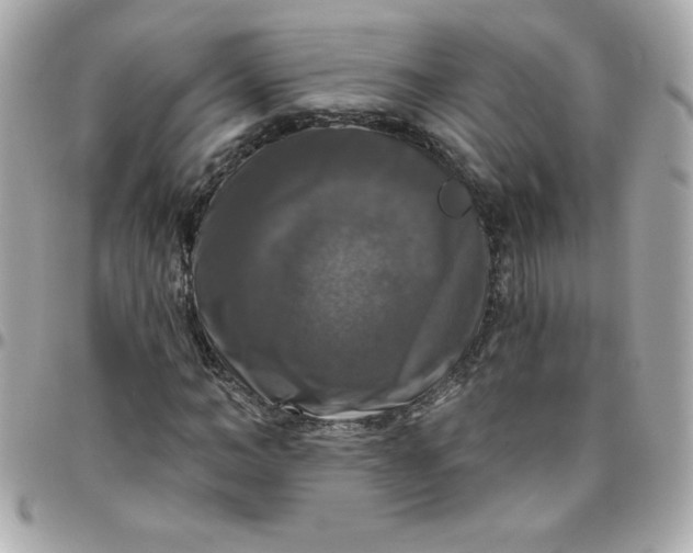 X0000096470966200802071853