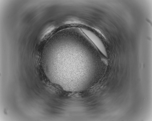 X0000096470967200802071853