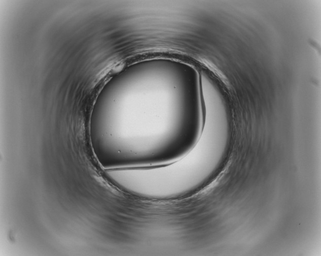 X0000096470969200802071853