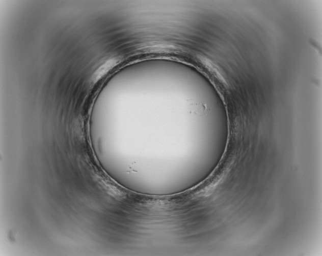 X0000096470970200802071853