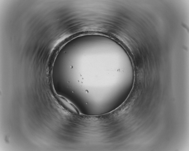 X0000096470971200802071853