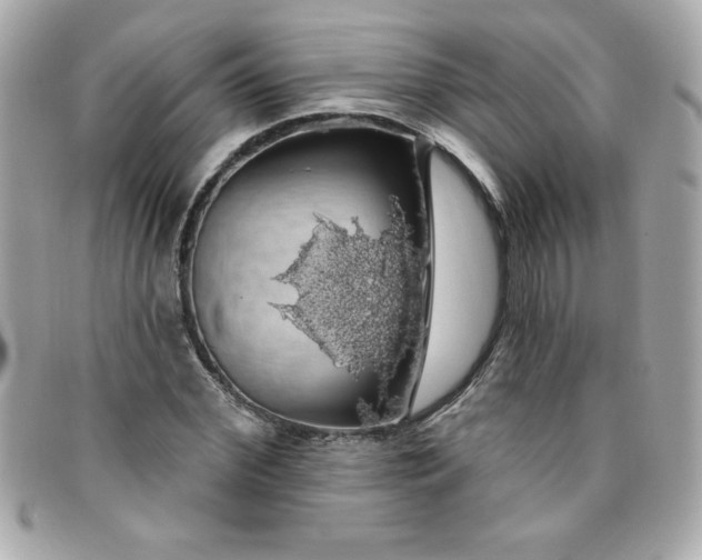 X0000096470972200802071853