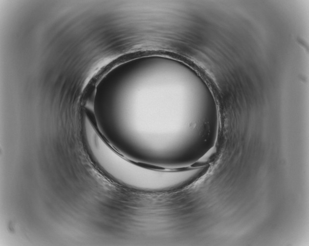 X0000096470973200802071853