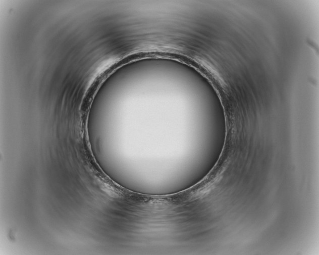 X0000096470974200802071853