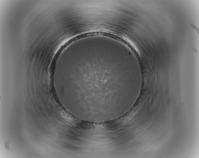 X0000096470975200802071853