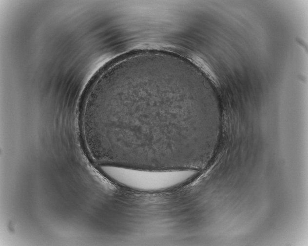 X0000096470976200802071853