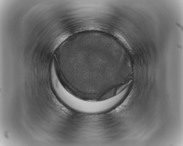 X0000096470977200802071853