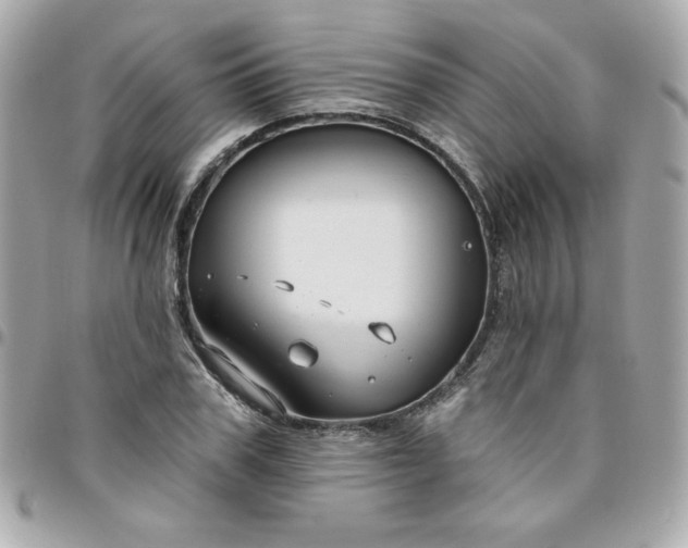 X0000096470979200802071853