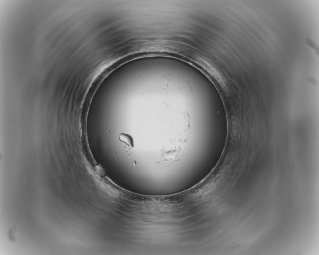 X0000096470980200802071853